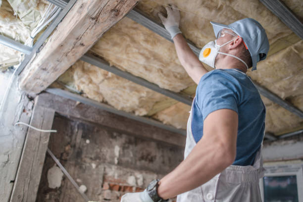 Best Geographic-Specific Insulation Services in Hackettstown, NJ